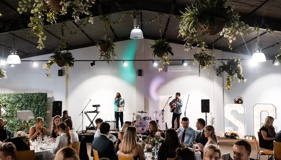 Krishool live wedding performance